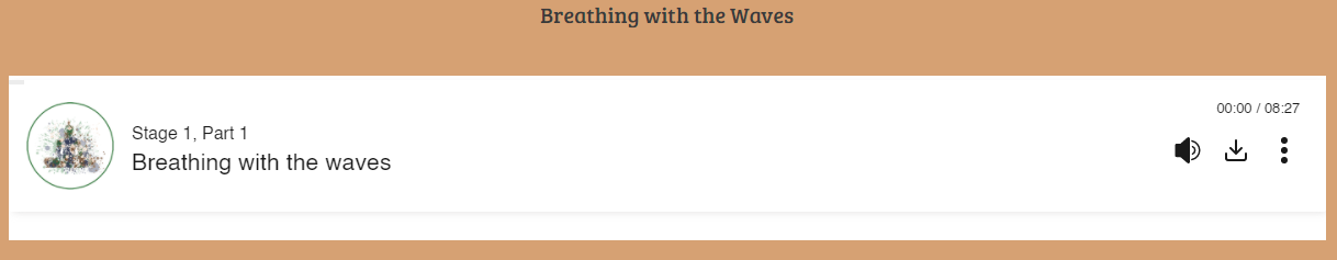 mindful you download button